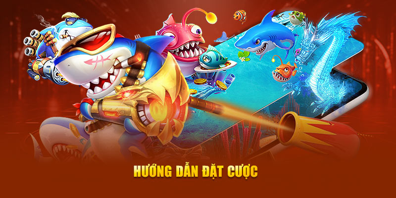 Hướng dẫn đặt cược