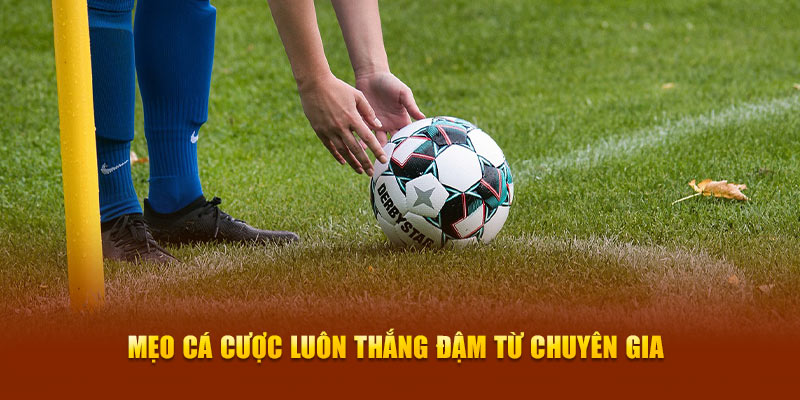 Mẹo cá cược luôn thắng đậm từ chuyên gia