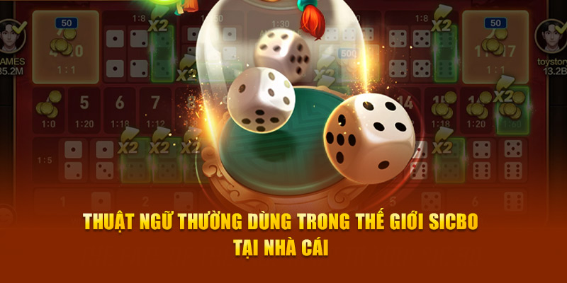 Thuật ngữ thường dùng trong thế giới Sicbo tại nhà cái 